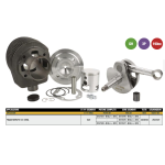 OFFRE SPÉCIALE Kit de conversion PINASCO 25361000 en fonte VESPA 125 150 200 80 PX PE COSA TS 190 cc course longue 60 mm 25032805 + 25080826