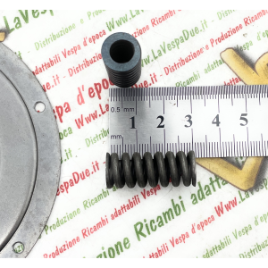 Kit completo SURFLEX parastrappi e ingranaggio corona per Frizione per VESPA PX 200 E - T5