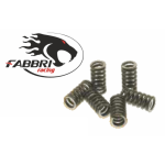 Kit di 6 molle piccole FABBRI RACING in acciaio armonico per VESPA 50 N L R SPECIAL 125 PRIMAVERA ET3 PK 50 125 XL RUSH N APE 50