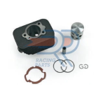 DR ø 43 mm KT00066 Thermogruppe für PIAGGIO CIAO SI FL2 MIX GRILLO BOSS BOXER BRAVO 3 ERRE 2 übergroßer Gusseisenstift 12 mm Serie EVOLUTION