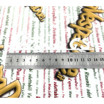 Inscripción de placa frontal en aluminio satinado, de 140 mm de longitud, para VESPA 150 GS VS