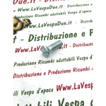 Vite per fissaggio dispositivo starter al carburatore per VESPA 80 125 150 200 PX PE RALLY APE vite a taglio svasata con trattamento zincata