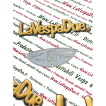 Targhetta telaio 65 x 24 mm VESPA GL 150 cc CHASSIS placchetta   identificativa al telaio