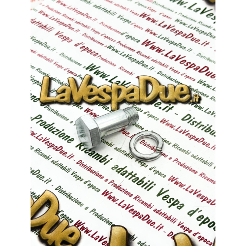 Bullone e rondella fissaggio superiore ammortizzatore anteriore VESPA 125 V30T a V33T VM VN VNA VNB 150 VL GL VB1 VBA VBB GS VS SPRINT GT GTR SUPER RALLY SS APE AB AC AE AD PENTARò