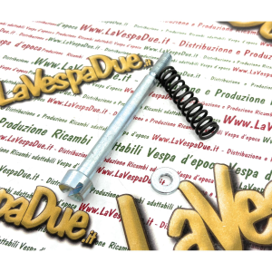 Kit bullone zincato per calotta coppa ruota centrale VESPA 50 90 SS SUPER SPRINT completo di molla e rondella