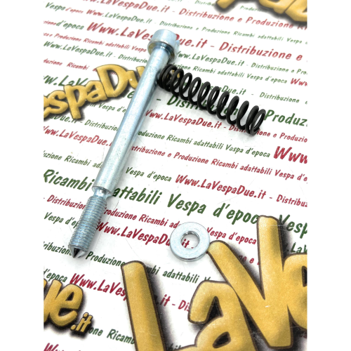 Kit bullone zincato per calotta coppa ruota centrale VESPA 50 90 SS SUPER SPRINT completo di molla e rondella