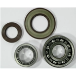 Kit cuscinetti e paraoli per revisione albero motore per APE TM P703 P602