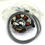 Stator Kokusan pour moteurs 50 2T PIAGGIO SFERA ZIP GILERA ro 820293 830294