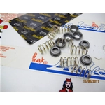 Kit molle frizione PINASCO 25090828 MEDIUM per VESPA 125 150 160 180 200 PX PE ARCOBALENO SPRINT TS RALLY GL VNB VBB