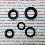 Engine oil seal set for PIAGGIO 50 CIAO BOXER BRAVO single speed with variator