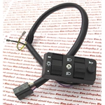 Light switch for APE 50 P TM P ro 230267