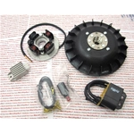 Accention PINASCO 25356835 FLYTECH electronics diameter mm 19 kg 1.4 per VESPA 50 NLR SPECIAL PK 125 SPRING ET3