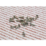 Vite bombata 4,2 x 16 mm autofilettante fissaggio puntali listelli strisce pedana VESPA 98 125 150 V1T A V30T VM VN VL VB1 GS VS1 A VS5T testa a taglio in acciaio inox