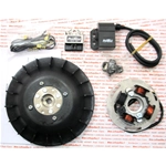 PINASCO 25356838 FLYTECH electronic ignition for VESPA 125 150 VNB VNA VBB GTR GT SPRINT SUPER TS RALLY 1.6 kg diameter 17 mm
