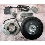 PINASCO 25356852 electronic ignition FLYTECH kg 1.6 for VESPA GS 160