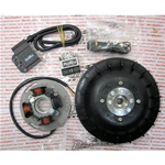 SPECIAL OFFER PINASCO ignition 25356845 electronic FLYTECH diameter 20 mm 1.1 kg for VESPA PX 80 125 150 200