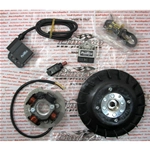 PINASCO 25356855 electronic ignition FLYTECH diameter 19 mm 1.6 kg for VESPA 50 125 NLR SPECIAL PRIMAVERA ET3