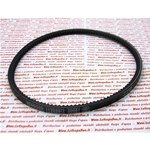 Cinghia alternatore per dinamotore dinamo motore oroginale PIAGGIO per APE 220 TM P602 TM P703 P703V FL2 CAR P2 P3 MP P501 P 601 TM Trattorino T111 r.o. 113256