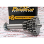 SPECIAL OFFER PINASCO 25270900 Quad Gear Z 10 14 18 21 Gran Turismo Short Fourth Gear for VESPA 50 90 125 PRIMAVERA ET3 PK