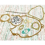 Engine gaskets with o-ring and carburettor for VESPA NLR SPECIAL SS SUPER SPRINTER ET3 PRIMAVERA NUOVA 50 125 from 1965 to 1984 ro 079002 289008 288837 078543 079900 196694 826911 222429 090899 1535096 0919256 Italian product
