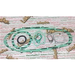 Guarnizioni motore per LAMBRETTA 175 terza serie GP 175 TV seconda serie