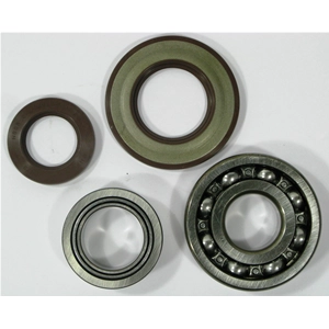Kit de cojinetes y sellos para la revisión del cigüeñal para APE TM P703 P602