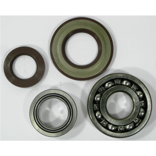 Kit de cojinetes y sellos para la revisión del cigüeñal para APE TM P703 P602
