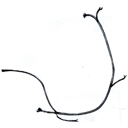 Schéma de câblage du système électrique pour Vespa 125 (V15, V30, V33T, VMT1, VU1T) - Phare de croisement (réf. 018201)