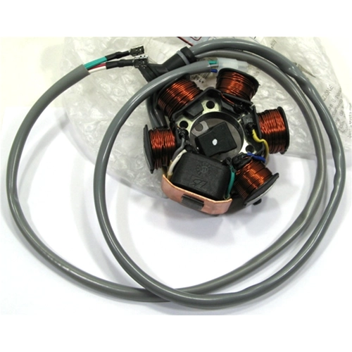 Kokusan stator for 50 2T PIAGGIO SFERA ZIP GILERA engines ro 830294