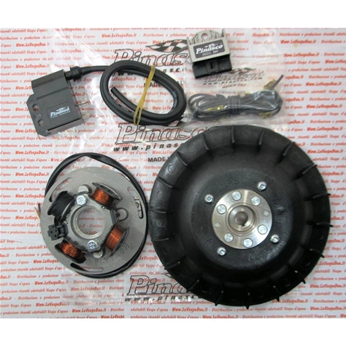 OFFERTA SPECIALE Accensione PINASCO 25356843 elettronica FLYTECH diametro mm 20 kg 0,9 per VESPA PX 80 125 150 200