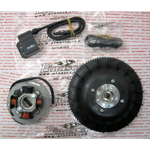 PINASCO 25356831 FLYTECH elektronische Zündung Durchmesser mm 20 kg 1,6 für VESPA PX 80 125 150 200 mit Elektrostarter