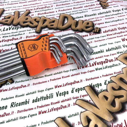 Satz mit 9 Torx-Schlüsseln mit Prägung T10 T15 T20 T25 T27 T30 T40 T45 T50