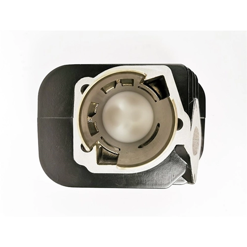 Kit cylindre Pinasco 26028500 EVOTEN BIG BORE 75 mm avec axe de 12 mm pour PIAGGIO 50 CIAO SI BRAVO BOXER couleur or, joint de vilebrequin double.