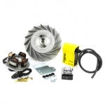 Accensione elettronica FLYTECH TOURING PINASCO 26357744 diametro mm 20 kg 1,4 VESPA 50 125 PK XL
