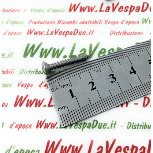 Selbstschneidende Schraube 3,5 x 22 mm zur Befestigung von Spitzen, Leisten und Trittbrettern für VESPA 98 125 150 V1T A V30T VM VN VL VB1 GS VS1 A VS5T, Schlitzkopf aus Edelstahl