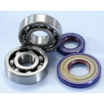 Kit revisione cuscinetti e paraoli POLINI 282.0005 albero motore cono 19 mm per VESPA 50 125 SPECIAL PK XL N L R APE 50 FL FL2 FL3 RST MIX