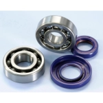 Kit revisione cuscinetti e paraoli POLINI 282.0006 albero motore cono 20 mm per VESPA 50 125 SPECIAL PK XL N L R 125 ET3 ETS PK PRIMAVERA ET3 XL APE 50 FL FL2 FL3 RST MIX