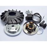 POLINI 171.0549 electronic ignition for VESPA 125 150 200 PX PE 12 volt electrical system weight 1.4 kg