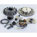 POLINI 171.0551 electronic ignition with 5 wires for APE 50 FL FL2 FL3 RST MIX weight 1.4 kg