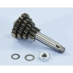 Ingranaggio primario POLINI 202.1417 campana frizione Z 10 14 17 20 denti per VESPA 50 75 100 125 ET3 PK XL ETS SPECIAL