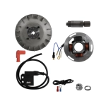 Allumage électronique EVOK pour VESPA 80 125 150 200 PX PE T5 ARCOBALENO ELESTART, frein à disque avant à avance variable, poids 1,4 kg