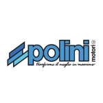Disc key tab for POLINI crankshaft 230.0407 for PIAGGIO 50 CIAO BRAVO BOXER BOSS GRILLO SI CBA