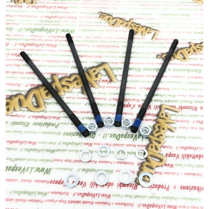 Komplettes Set zur Befestigung von Zylinderbolzen für VESPA PRIMAVERA ET3 PX PE 125 150 SUPER SPRINT GTR ro 150656 Muttern und Unterlegscheiben
