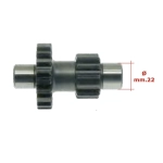 Ingranaggio duplo invertitore denti Z 20 12 asse Ø 20 22 mm per APE MP P501 P 601 TM P602 APE CAR P2 P3 r.o. 169744 tipo rinforzato