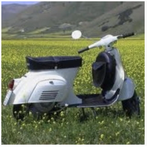 PISTONE GOL PER PIAGGIO VESPA 125 PRIMAVERA (NO ET3) DAL 1967 2 TRAVASI MISCELA AL 3%