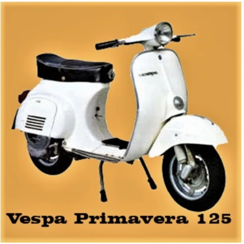 PISTONE GOL PER PIAGGIO VESPA 125 PRIMAVERA (NO ET3) DAL 1967 2 TRAVASI MISCELA AL 3%