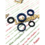 CORTECO and ROLF oil seal set for engine overhaul of PIAGGIO CIAO BRAVO BOXER SI GRILLO BOSS moped models with variator RO 112968 131511 240222 008711 008766