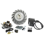 Accensione elettronica FLYTECH TOURING PINASCO 26357752 1,9 kg VESPA 160 GS