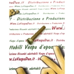 Vite fissaggio scatola filtro aria e coperchio selettore per VESPA 80 125 150 200 PX PE RALLY