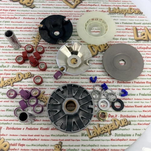 POLINI 241.642 variator for PIAGGIO GILERA